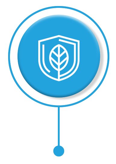 Excelencia Profesional